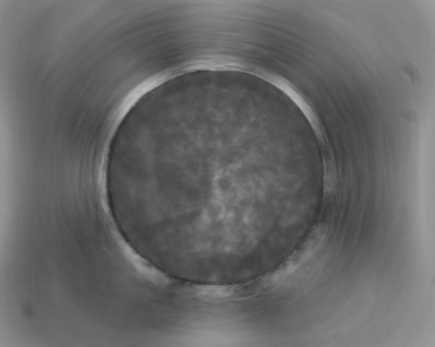 X0000113920861200910151438