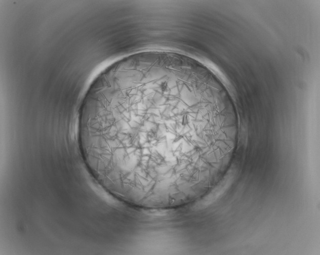 X0000113920862200910151438