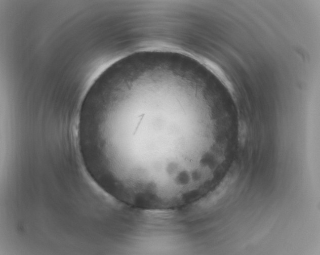 X0000113920863200910151438