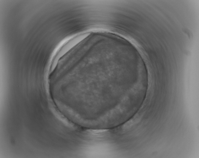 X0000113920864200910151438