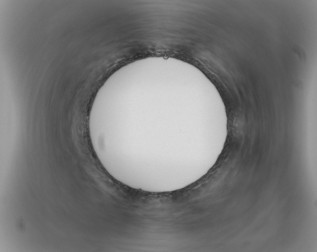 X0000113920865200910151437