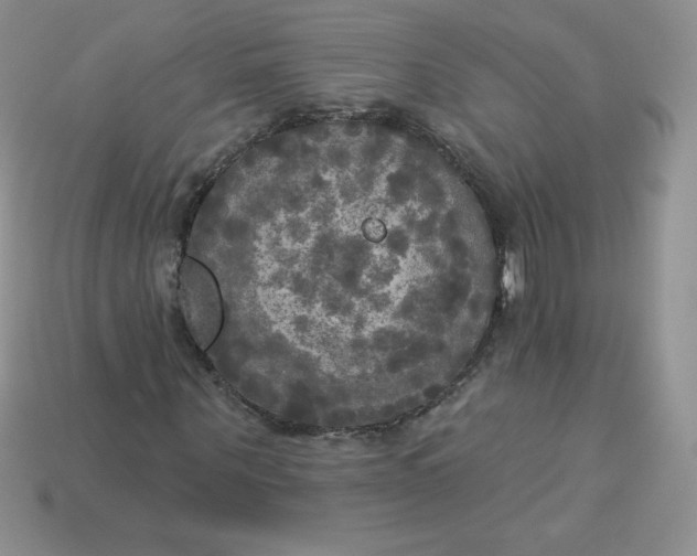 X0000113920867200910151437