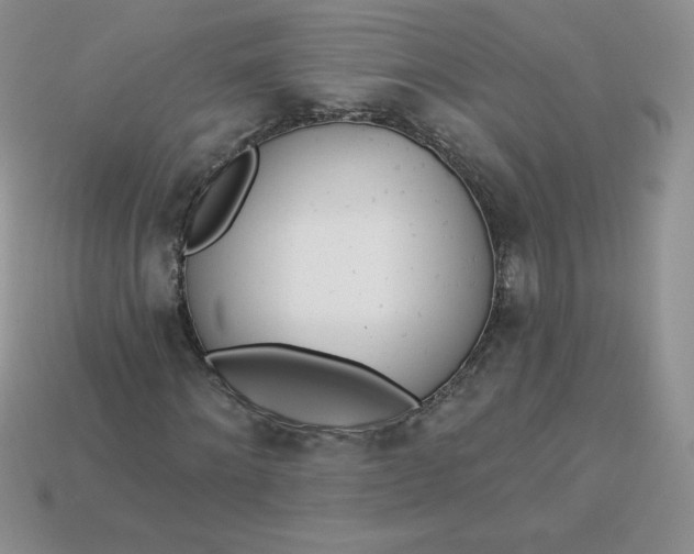 X0000113920868200910151437