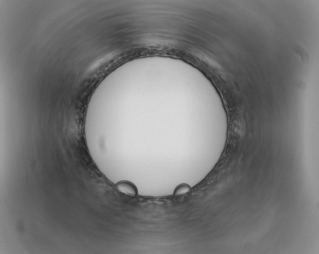 X0000113920869200910151437