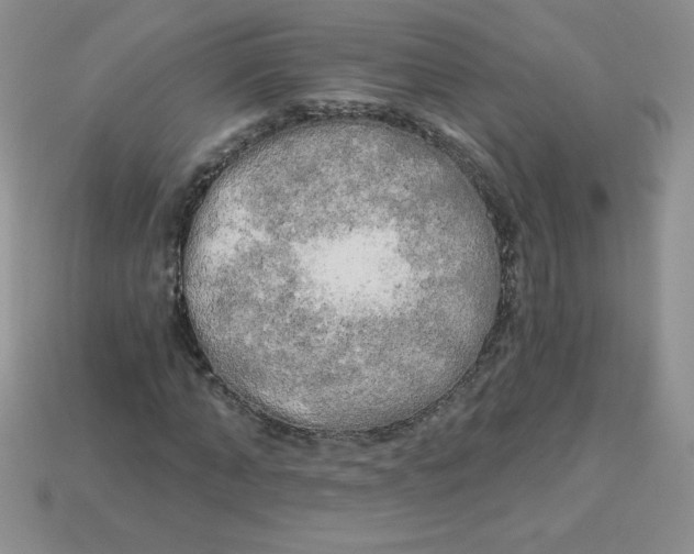 X0000113920870200910151437