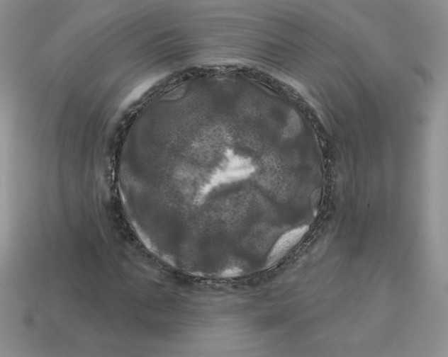 X0000113920871200910151437