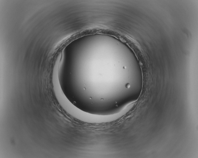 X0000113920872200910151437