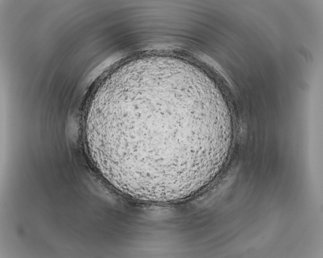 X0000113920874200910151437
