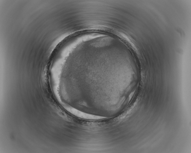 X0000113920875200910151437