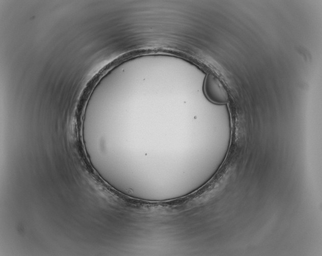 X0000113920876200910151437