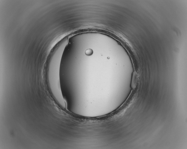 X0000113920877200910151437