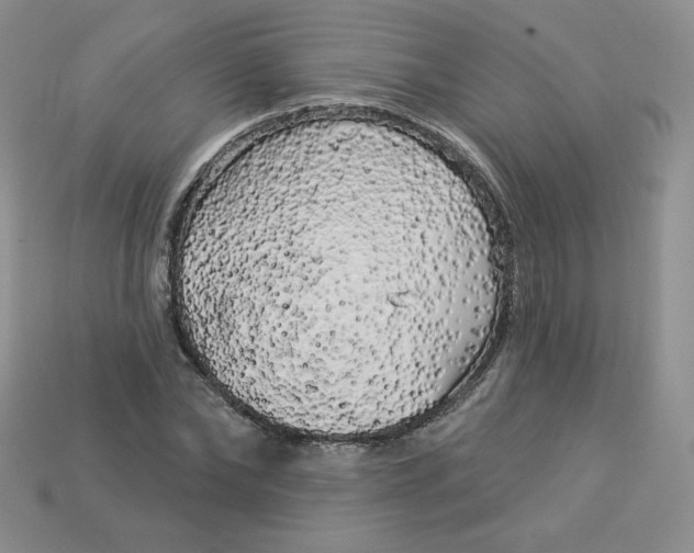 X0000113920878200910151437