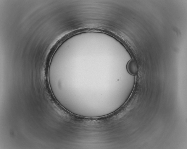 X0000113920880200910151437