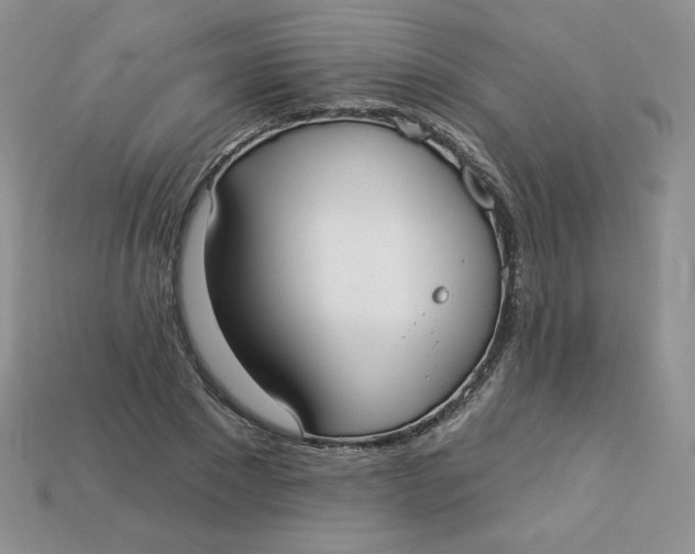 X0000113920881200910151437