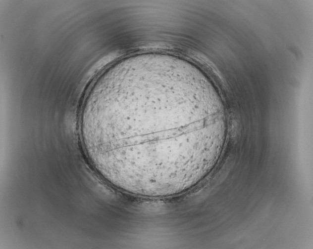 X0000113920882200910151437