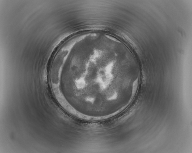 X0000113920883200910151437