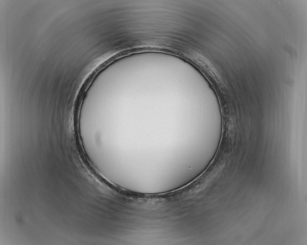X0000113920884200910151437