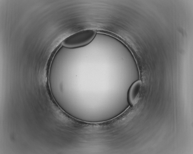 X0000113920885200910151437
