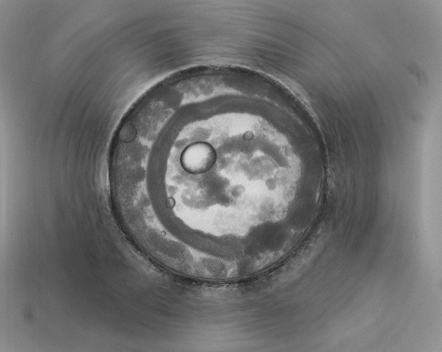 X0000113920887200910151437