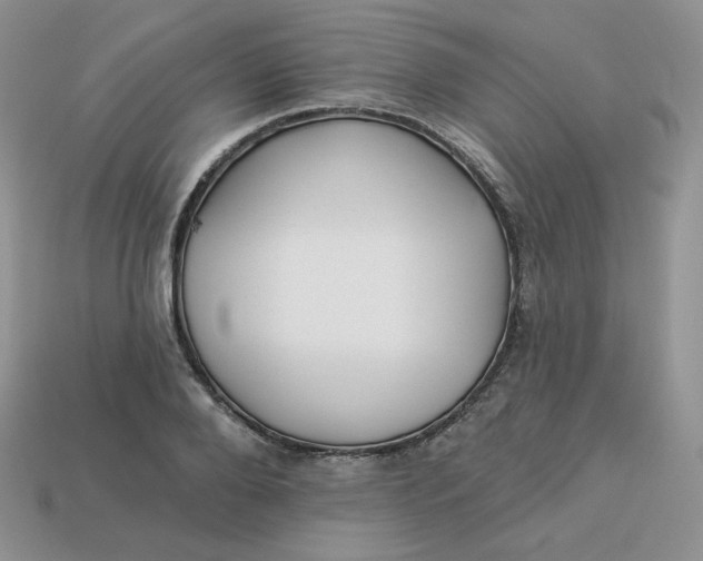 X0000113920888200910151437