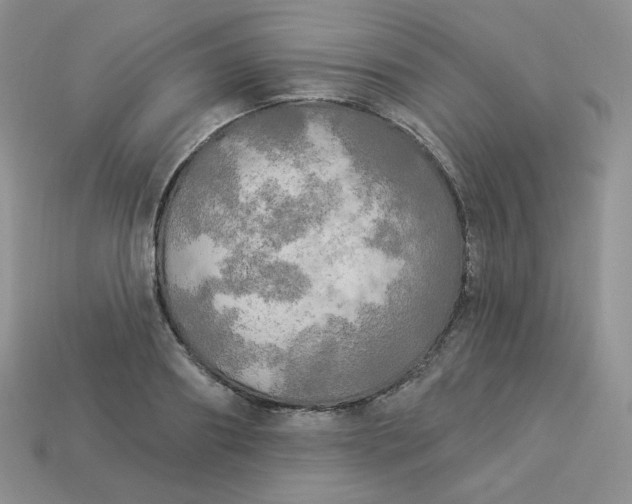 X0000113920890200910151437