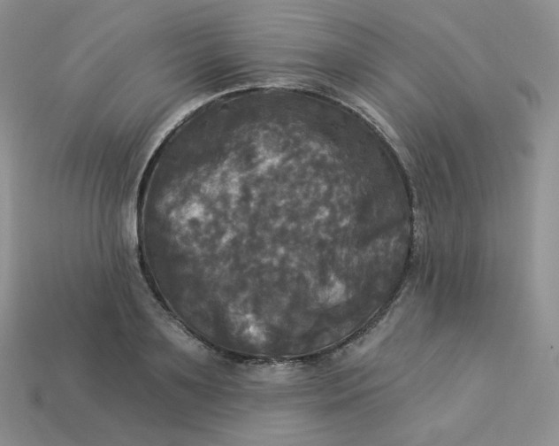 X0000113920891200910151437