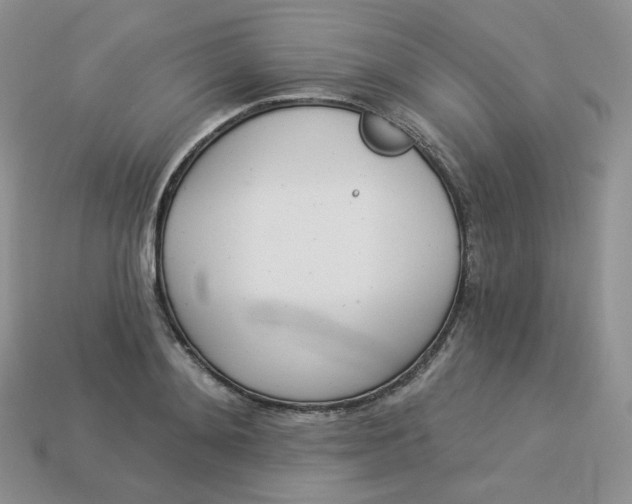 X0000113920892200910151437
