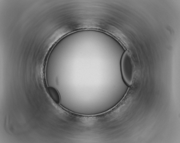 X0000113920893200910151437