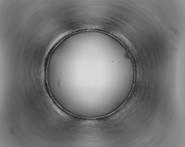 X0000113920894200910151437