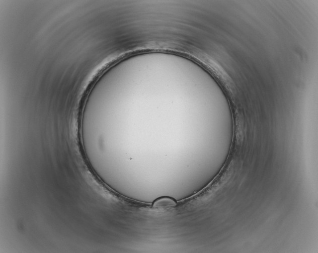 X0000113920896200910151437
