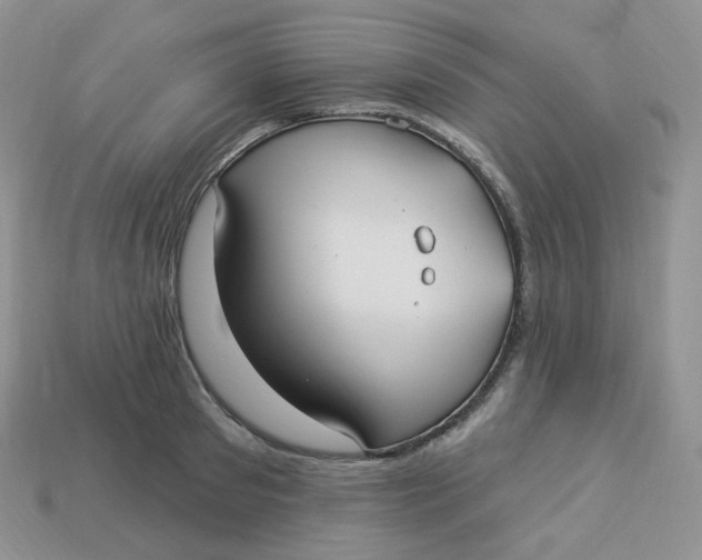 X0000113920897200910151437
