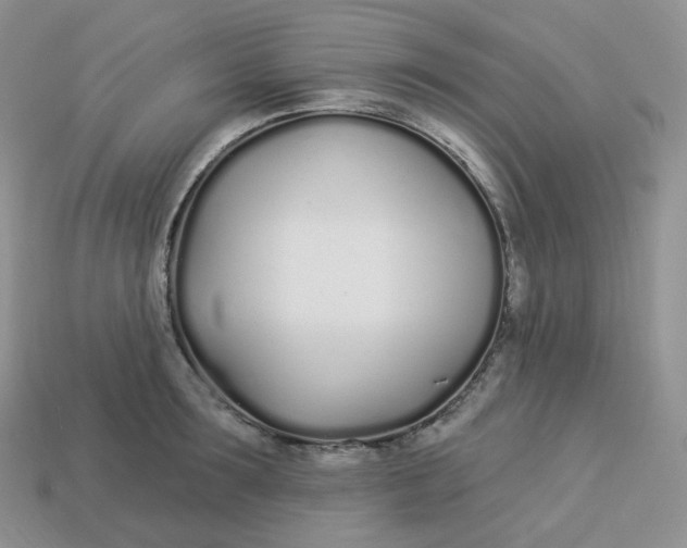 X0000113920899200910151437