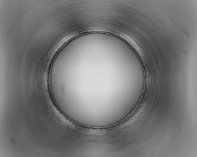 X0000113920901200910151437