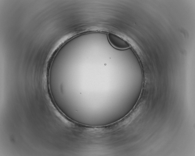 X0000113920902200910151437