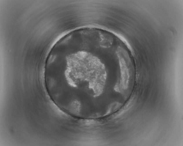 X0000113920903200910151437