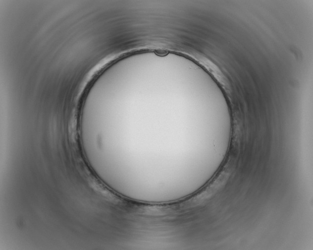 X0000113920904200910151437
