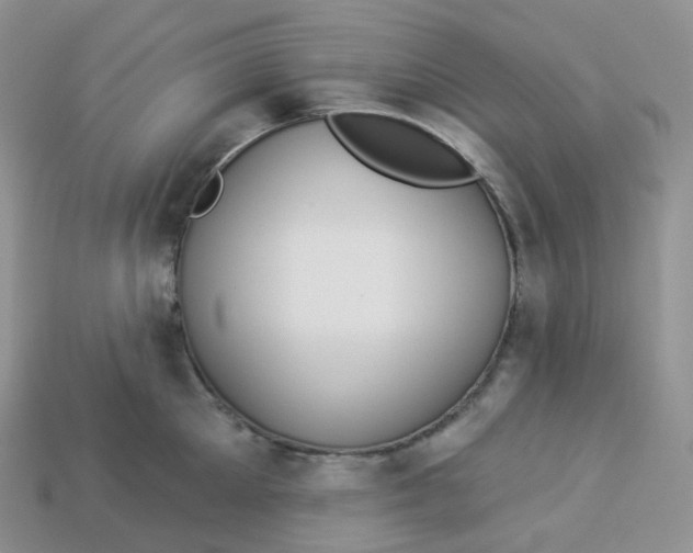 X0000113920905200910151437