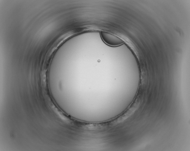 X0000113920906200910151437