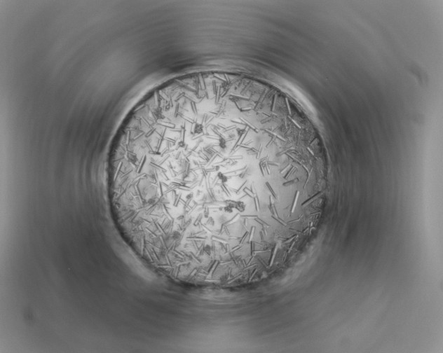 X0000113920907200910151437
