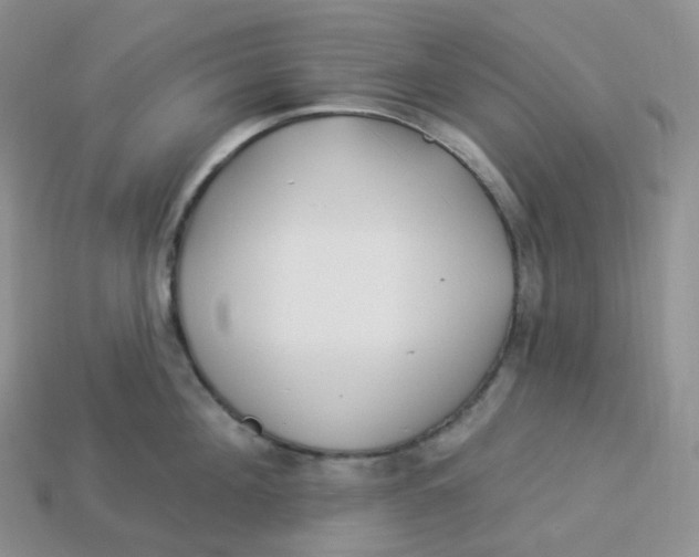 X0000113920908200910151437
