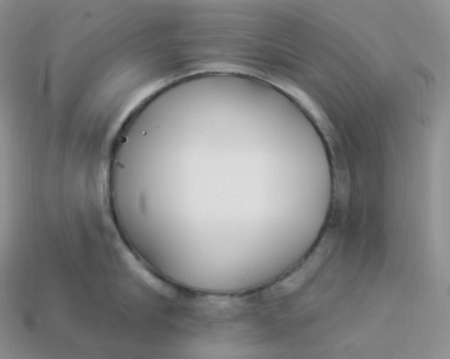X0000113920910200910151437