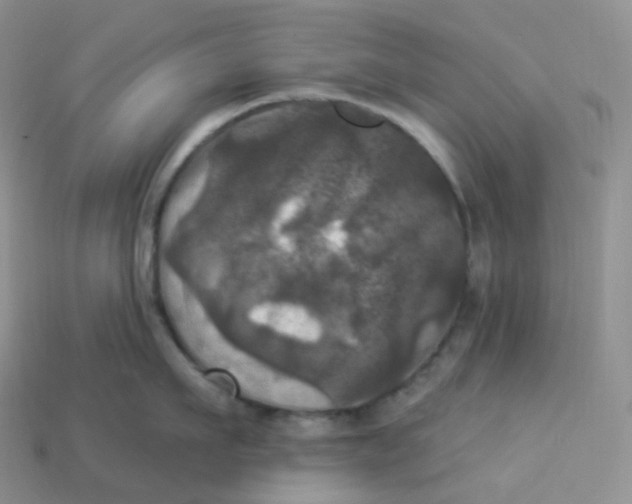 X0000113920911200910151436
