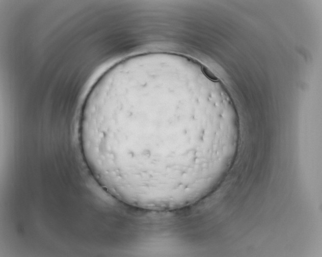 X0000113920912200910151436