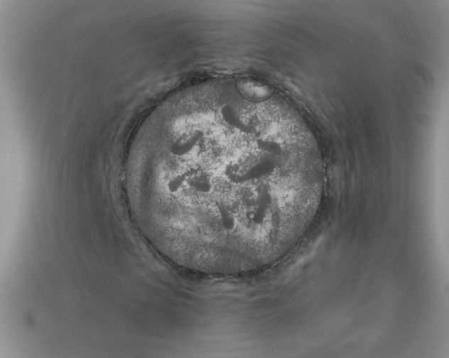 X0000113920913200910151436