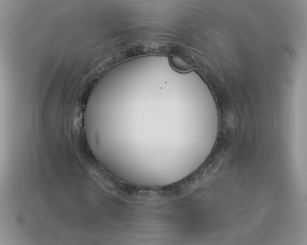 X0000113920914200910151436