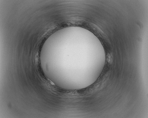 X0000113920915200910151436