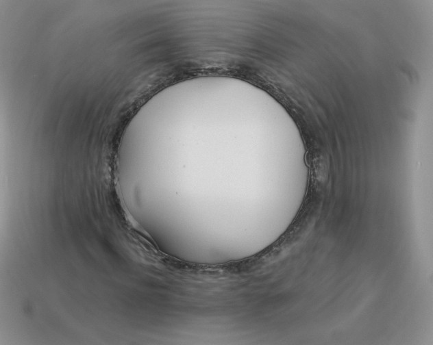 X0000113920916200910151436