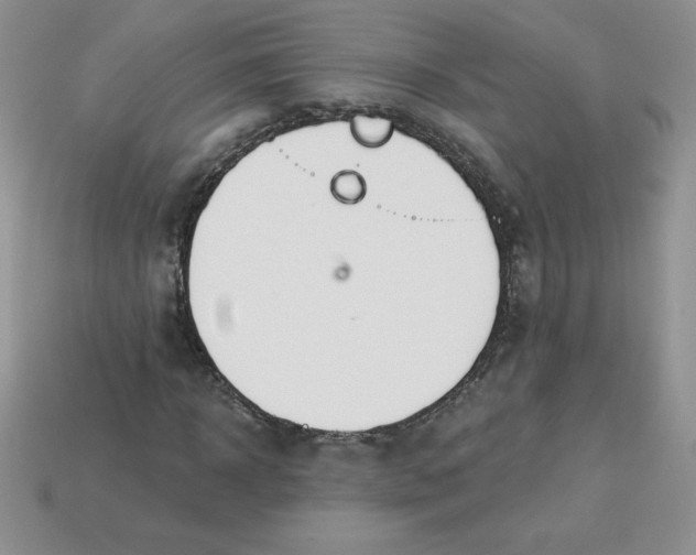 X0000113920918200910151436