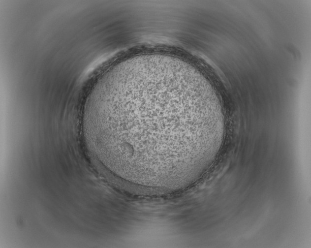 X0000113920919200910151436