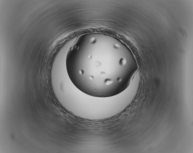 X0000113920920200910151436